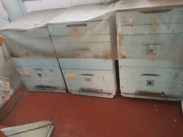 Arıçılıq üçün taxta arı pətəkləri - Material: qalın taxtadan yığılma