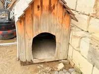 Taxta it evi - Material: təbii taxta lövhələr, ikiqat maili dam — फ़ोटो 1