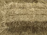 Ot presi satılır, Bəbəli kəndində. Çəkisi 25-30kg - 1 ədəd 2 manat 30 — фото 2