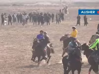 Caballos (lote, sexo no especificado), Caballos — foto 5