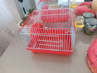 Hamsterler üçün qəfəs və aksesuar dəsti + yem — फ़ोटो 2