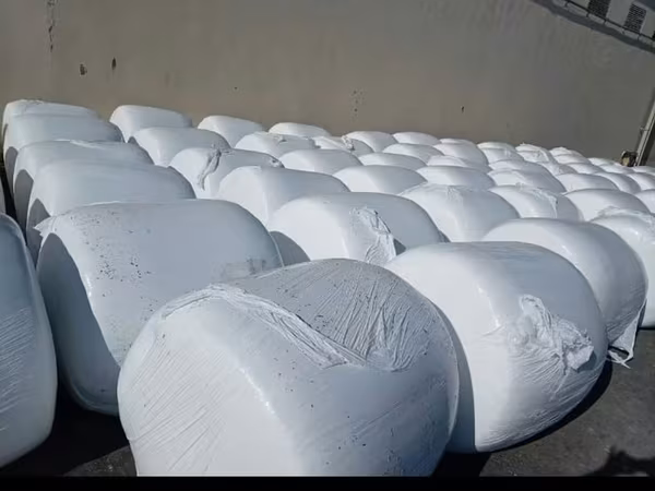 Qarğidali silosu (~400-450 +- kq ) qiyməti 70 manat. Ünvana çatdırılma