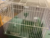 Hamster ucun qefes satilir, elave oyuncaqlar da var. Icini deyismek — Foto 3