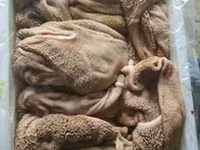Закупаем на постоянной основе. Субпродукты для кормления домашних животных. — фото 1