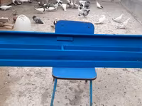 Yem qabı, Yem üçün, Quşlar üçün — foto 4