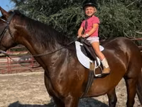 Кобила, Quarter Horse — фото 7