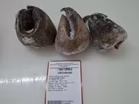 Ноги необработанные говяжьи — 3-rasm
