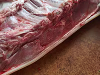 Schweine (Partie, Geschlecht nicht angegeben), Ландрас — Foto 4
