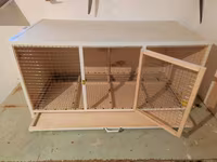 Papuqay,dovşan,hamster,şinşila,bildirçin,cücə,xamyak,pişik,quş,tısbağa — फ़ोटो 5