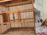Taxta quş qəfəsi – ev formasında dizayn - Material: təbii ağac və — الصورة 3