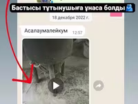 Универсал Дробилка Двигатель 3кВт Молотковые Дробилки зерна — Foto 4