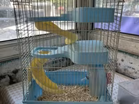 Hamster və balaca gəmiricilər üçün qəfəs - Rəng: açıq mavi plastik — фото 1