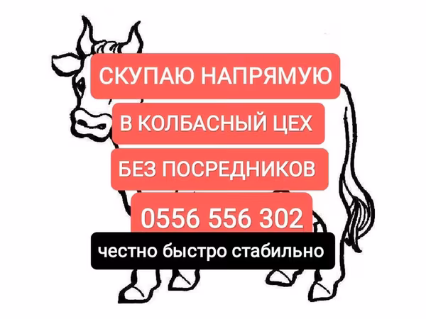 Лошади