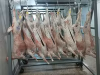 Субпродукты говяжьи — الصورة 4