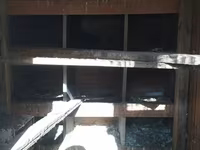 Satılır: Taxta toyuq/broyler koykası (quşxana) Xüsusiyyətlər: - Tam — foto 3