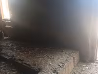 Chickens — 3-сурет