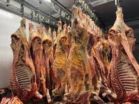 Говядина полутуши — 照片 1