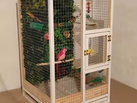 Papuqay,dovşan,hamster,şinşila,bildirçin,cücə,xamyak,pişik,quş,tısbağa — 2-сурет