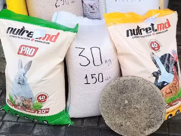 Vind granule la iepuri