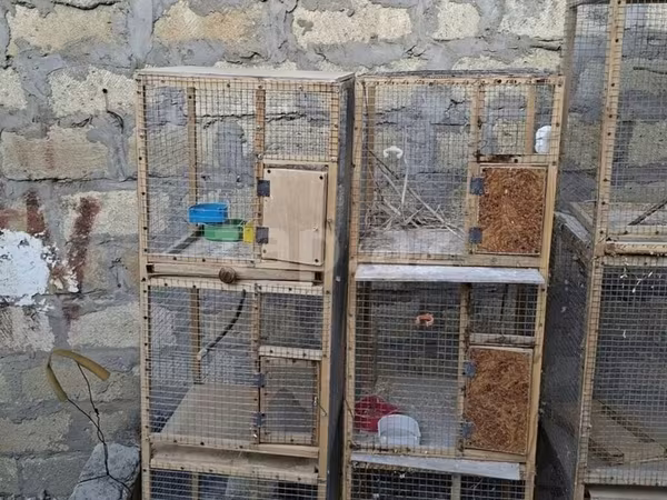 Quş qəfəsləri – çoxbölməli taxta-karkaslı konstruksiyalar • Material