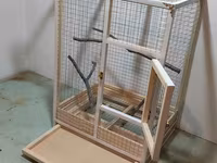 Papuqay,dovşan,hamster,şinşila,bildirçin,cücə,xamyak,pişik,quş,tısbağa — फ़ोटो 3