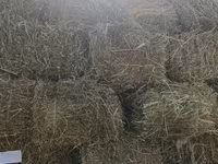 Клевер - Тюкованное сено прямоугольными кипами, перевязано шпагатом — Foto 2