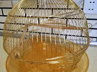 Qızılı rəngdə dairəvi quş qəfəsi - Material: metal tel konstruksiya — Foto 1