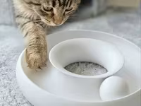 🐾 Pişiklər üçün İnteraktiv Oyuncaq Pişiyinizin həm əylənməsi, həm də — Foto 1