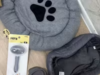 Maltipoo balası – krem rəngli, qıvırcıq tüklü, kiçik ölçülü ev iti — фото 3