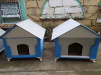 Salam yuvalar pişik ve balaca itlər üçün təzədi balacadan böyüyə — الصورة 4