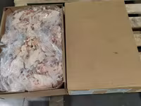 Жир говяжий корпусной halal — Foto 4