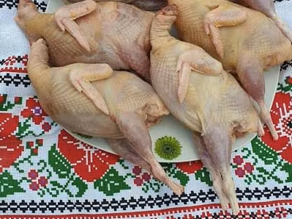 Перепелиное мясо