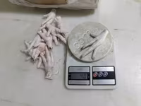 Chickens — الصورة 3