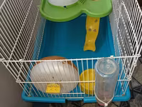 Hamster üçün tam dəst qəfəs uzunluqu 55 sm hündürlük 45 sm eni 30 sm — الصورة 4