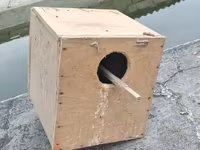 Taxta quş yuvası/kutubçası - Material: Sərt kontrplak/taxta - Forma — الصورة 1
