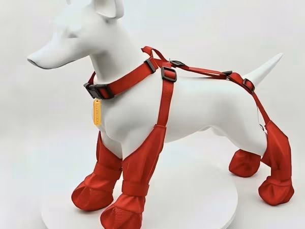 🐶 İtlər üçün yağışdan qoruyucu ayaqqabı — L razmer Yeni, istifadə