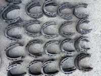 Продаю | Кобыла (самка), Конь (самец), Жеребец — 照片 1