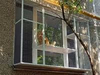 Pəncərə üçün “catio” – pişiklər üçün açıq, təhlükəsiz balkon-kafes - — 3-rasm