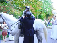 Caballo, Caballos — foto 2