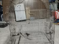 Metall quş qəfəsi dovşan tutuquşu göyərçin qəfəs - Material: möhkəm — 2-rasm