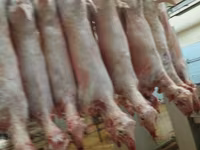 Продам баранину ягнят — 3-сурет