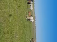 Yegua, Kazakh horse — foto 7
