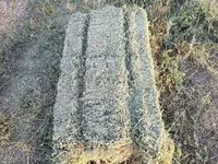 КУПЛЮ Сено в тюках клевер 3 укос по сокулукскому району с доставкой — foto 1
