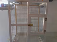 Papuqay,dovşan,hamster,şinşila,bildirçin,cücə,xamyak,pişik,quş,tısbağa — foto 3