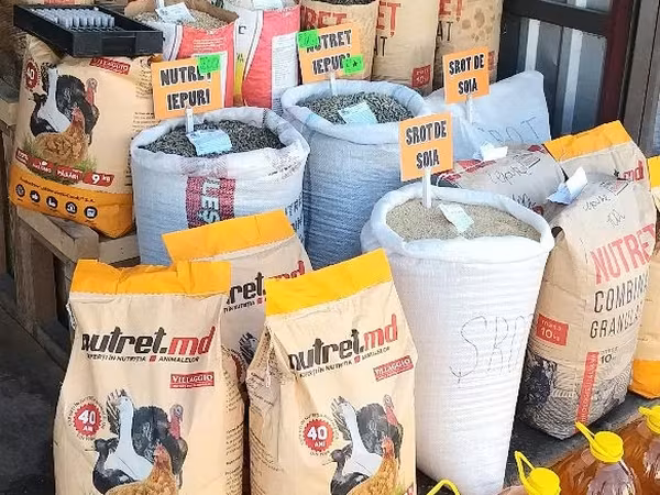 Nutret kombinat granulat pentru pui