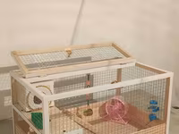 Hamster/kiçik gəmirici üçün geniş taxta — Foto 4