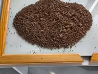 Рапсовый жмых — الصورة 1