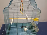 Quş qəfəsi – aksesuarlarla - Material: metal karkas, plastik altlıq - — 1-rasm
