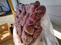 Почки свиные нейма мясокомбинат — Foto 4