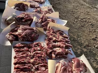 Qoç, Rhon sheep — foto 6